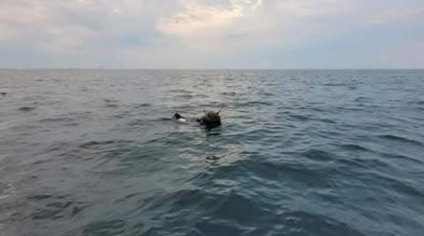 disputa romania rusia pe originea minelor marine in deriva in marea neagra replica mapn pentru moscova