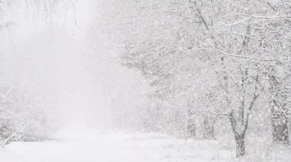 Vine viscolul. Meteorologii au anunțat Cod portocaliu în două județe