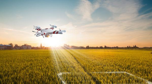 un tanar de 16 ani a refuzat o oferta de 300 000 de dolari ca sa renunte la scoala dupa ce si a dezvoltat propria afacere de succes