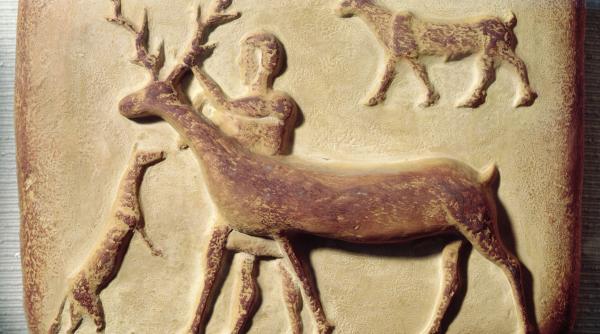 analizarea unui adn vechi de peste 14 000 de ani schimba total ce se credea pana acum despre imblanzirea cainilor