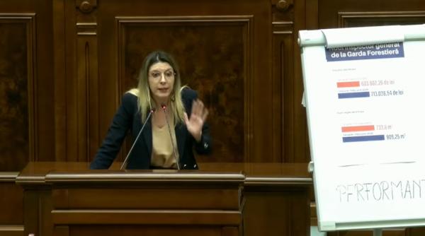 motiunea simpla impotriva dianei buzoianu a picat psd nu a votat bolojan a lipsit schimb dur de replici in senat