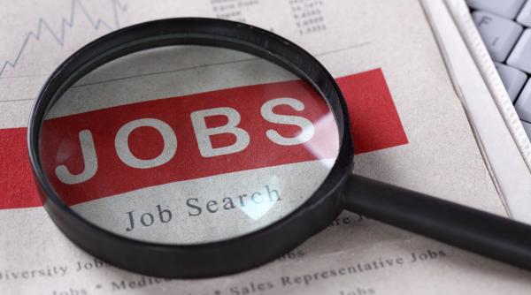 numarul locurilor de munca vacante la nivel national a scazut la 31 000 in 2025 arata statisticile