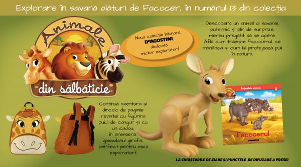 Facocerul te așteaptă într-o nouă aventură! Numărul 13 din „Animale din sălbăticie”, cu surprize în premieră, de marți, la chioșcuri.  