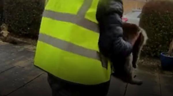 un roman livrator la amazon in anglia a furat o pisica de la adresa unde a dus coletul nu stia ca este filmat prin sonerie