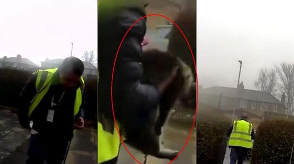 un roman livrator la amazon in anglia a furat o pisica de la adresa unde a dus coletul nu stia ca este filmat prin sonerie ce risca