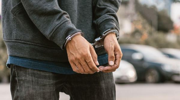 un barbat de peste 70 de ani merge la inchisoare dupa ce a batut cu bestialitate un caine in bucuresti sentinta este definitiva