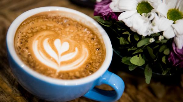 o substanta din cafea poate incetini dezvoltarea celulelor canceroase cercetatorii japonezi au aflat cum se intampla asta