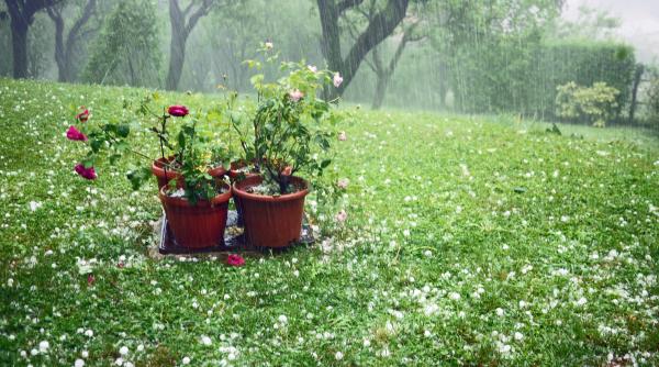 Vreme instabilă în toată țara de săptămâna viitoare Prognoza meteo actualizată până la începutul lunii mai