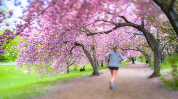 vreme instabila in toata tara de saptamana viitoare prognoza meteo actualizata pana la inceputul lunii mai