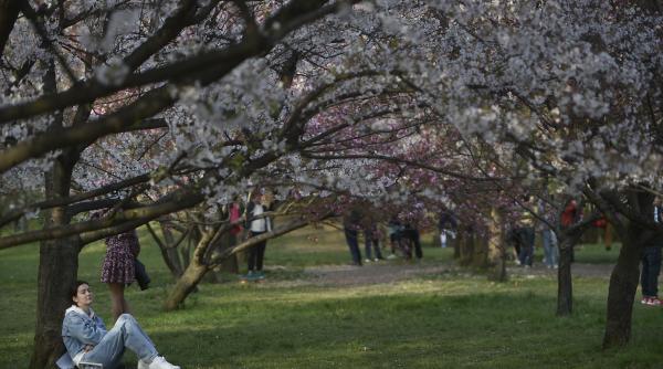 cum va fi vremea de florii in bucuresti si in tara