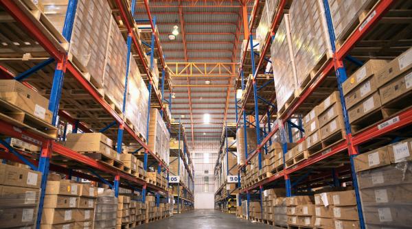 un tanar de 17 ani castiga peste 7 000 de dolari lunar dintr o pasiune transformata in idee de afacere ar putea fi o mina de aur