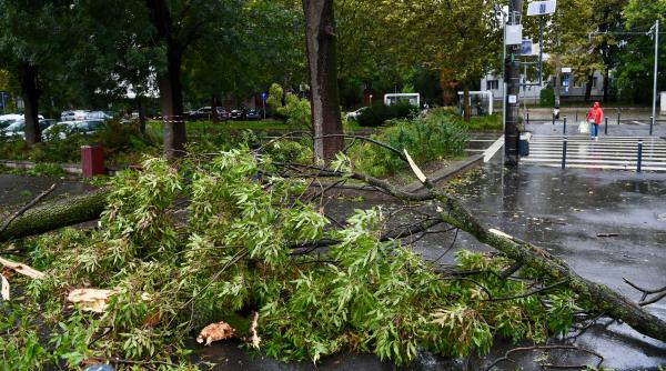 Alertă meteo imediată cod portocaliu de vijelii puternice, emisă de ANM: Vântul va bate și cu 90 de km/h. Lista localităților afectate