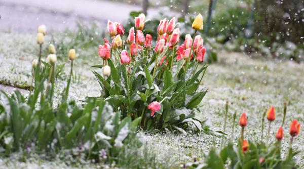 Alerte meteo în aproape toată țara, în Săptămâna Mare: Va ninge, iar în unele zone se depune zăpadă. Hărți cu județele sub cod galben