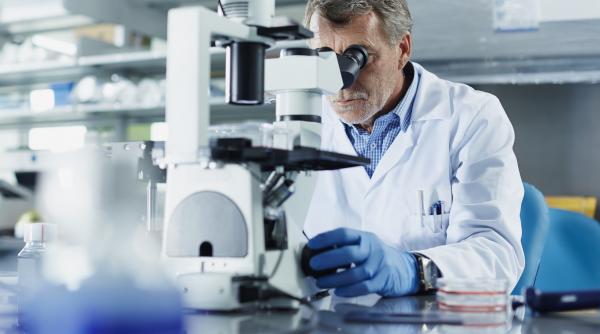 cercetatorii rusi dezvolta compusi pe baza de extract de molid considerati eficienti impotriva coagularii sangvine