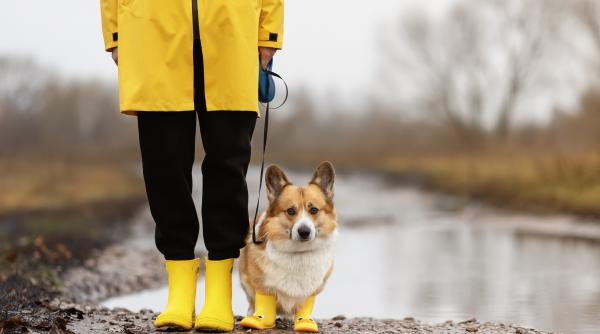 cum va fi vremea pana in luna mai prognoza meteo pentru urmatoarele 4 saptamani