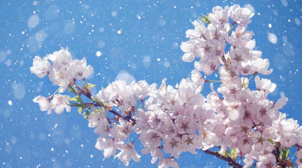 weekend ul de paste incepe cu frig ninsori si vijelii anm a emis cod portocaliu si galben de viscol harta zonelor sub alerta meteo