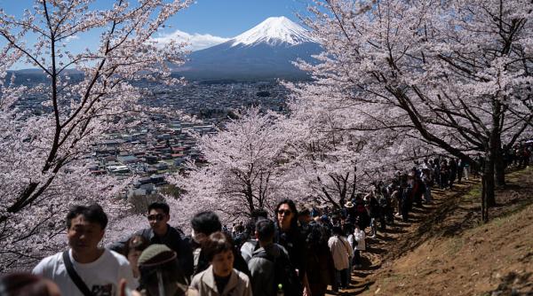 furie intr un oras japonez din cauza turistilor veniti sa vada ciresii infloriti isi fac nevoile in curti sau arunca gunoaie peste tot