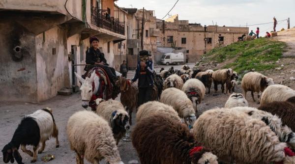 meseria platita cu 2 300 de euro pe care nimeni nu o mai vrea este foarte greu sa gasim oameni