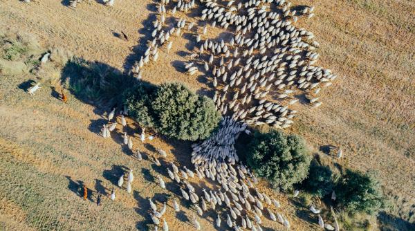 nimeni nu vrea acest job desi salariul este si de 2 300 de euro si nu se cer studii si calificare