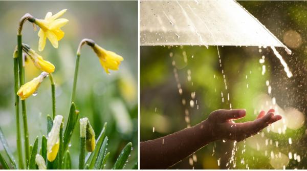 prognoza meteo actualizata pentru bucuresti anm temperaturi scazute si precipitatii mixte pana sambata dimineata