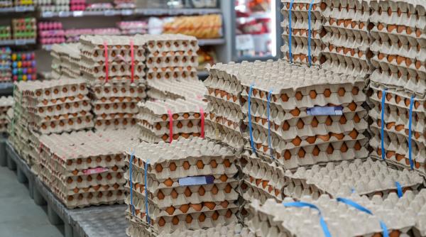 alerta sanitara inainte de paste 1 5 milioane de oua contaminate cu salmonella la vaslui