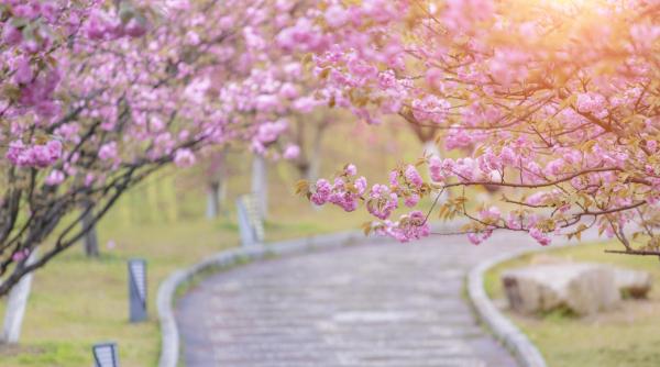 vor fi minus 5 grade in noaptea de inviere in unele zone noi date de la anm despre cum va fi vremea de paste