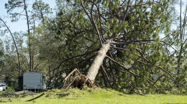 avertizare imediata de la anm cod galben de vant puternic rafalele vor atinge 90 km h harta zonelor afectate