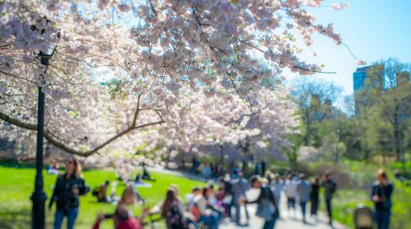 vremea se incalzeste in toata tara prognoza meteo actualizata pentru urmatoarele patru saptamani