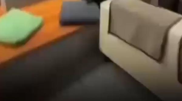 au fost momente tensionate dupa o sedinta a partidului aur cand unul dintre membrii formatiunii a inceput sa se certe cu dan tanasa si