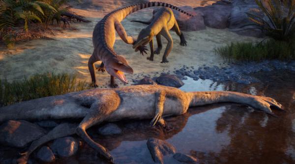 descoperire neasteptata la o fosila tinuta opt decenii in pivnita unui muzeu de la yale are 200 de milioane de ani si e o specie noua