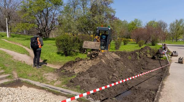 in parcul tineretului va fi amenajata prima gradina de ploaie din bucuresti ce este si cum va functiona