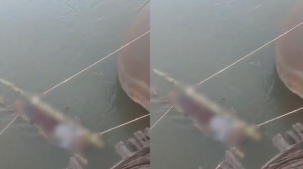 un baiat muscat de un sarpe veninos a fost tinut de parinti 12 ore intr un rau sfant ca sa se vindece