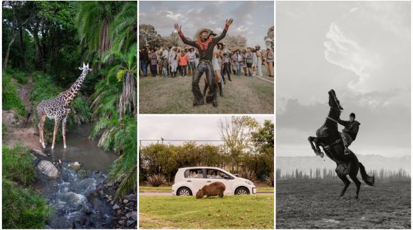 cele mai spectaculoase imagini de la premiile sony world photography awards 2026 oameni animale povesti si peisaje ametitoare