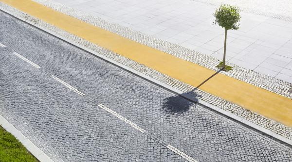 o prapastie verde se deschide intre europenii bogati si cei saraci de ce accesul la copaci devine un lux