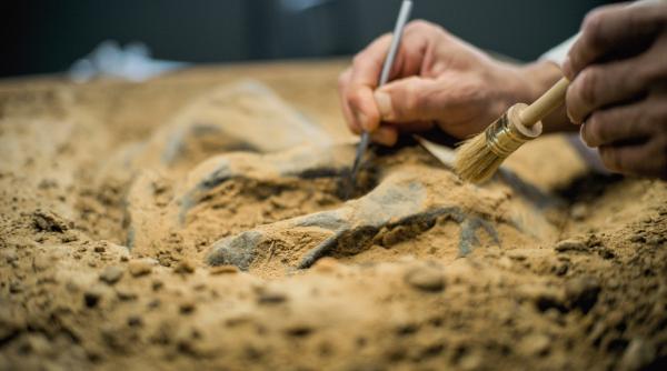 un mormant vechi de peste 2 000 de ani a fost descoperit in egipt arheologii au gasit mumii cu limbi din aur si artefacte rare