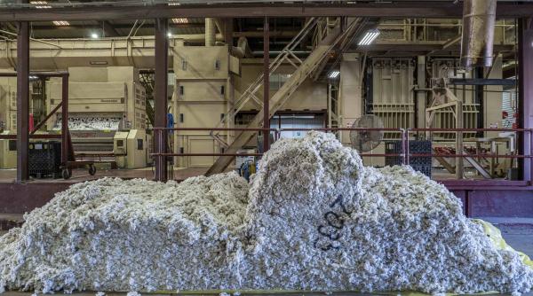 burkina faso isi extinde controlul dupa aur va nationaliza sofitex gigantul producator de bumbac evaluat la 607 milioane de dolari