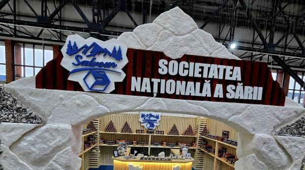 salrom respinge afirmatiile ministrului economiei irinel darau performanta economica reflecta responsabilitate nu neasumare