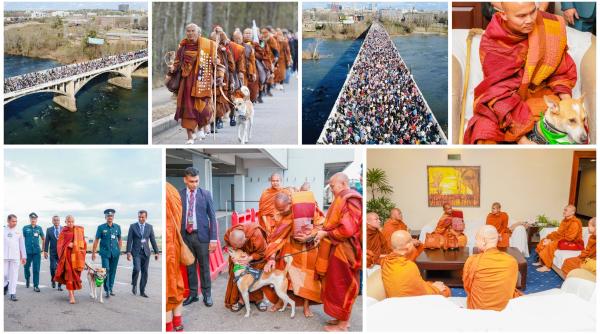 cine sunt calugarii budisti din sua si catelul cu milione de fani in toata lumea au inceput azi un nou mars pentru pace in sri lanka