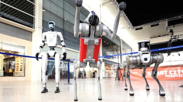 "Sunt aici să te ajut să strălucești la job, nu să-ți iau locul". Domeniile în care rolul omului este "ameninţat" de robotul Destiny