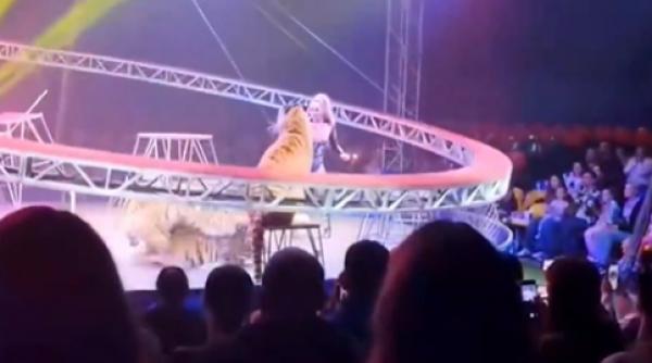 VIDEO Panică la un circ din Rusia. Un tigru a sărit între spectatori după ce plasa de siguranţă a arenei s-a rupt