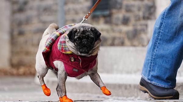 vreme anormal de rece in toata tara in urmatoarele doua saptamani prognoza meteo pana pe 18 mai