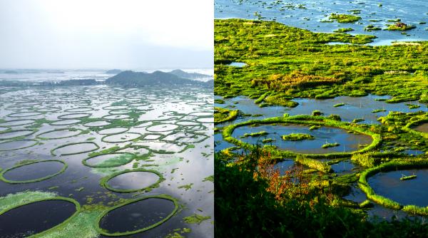 exista un singur parc national plutitor in lume lacul loktak pare ireal pe suprafata lui sunt insule vii care apar si dispar