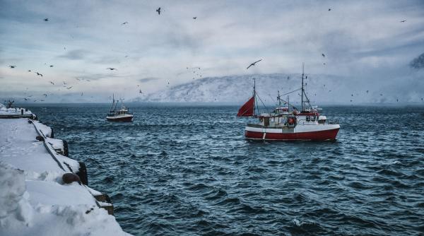 exceptie pentru islanda bruxelles vrea sa o atraga in ue si are o strategie ca sa grabeasca posibila aderare