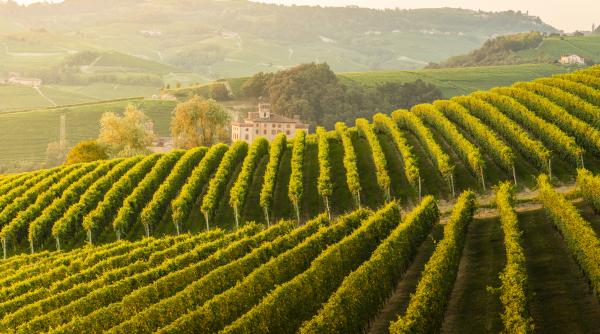 gura vadului a devenit prima localitate oenoturistica din romania cum vor autoritatile locale sa atraga turistii