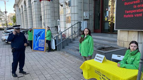 Protest la Ministerul Mediului: activiștii Greenpeace au ocupat trotuarul, după ce 23 de delfini au eșuat pe plajele din Constanța