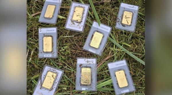 zece lingouri de aur descoperite de angajatul unei primarii in timp ce tundea iarba nimeni nu le a revendicat cine va pastra comoara