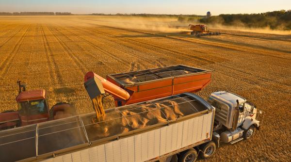 sua cumpara grau din polonia din cauza preturilor ridicate de pe piata interna