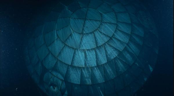 Ce este obiectul misterios din adâncuri fotografiat de scafandrii Marinei SUA la cererea NASA