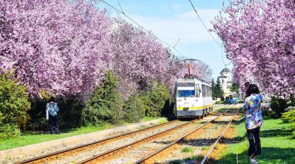 incep lucrarile de modernizare a sinelor de tramvai pe bulevardele bucurestii noi si gloriei si pe strada piatra morii