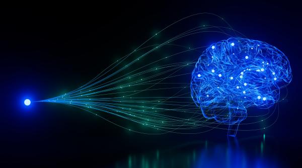 inginerii americani au creat neuroni artificiali care vorbesc cu celulele reale ale creierului